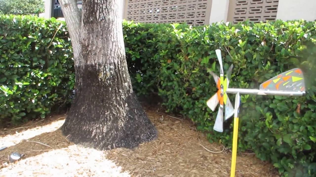 FireEye Wind Repeller - deters pest birds!