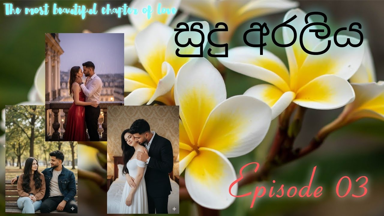 නපුරු කුමාරයා | සුදු අරලිය Video Novel - Episode 03