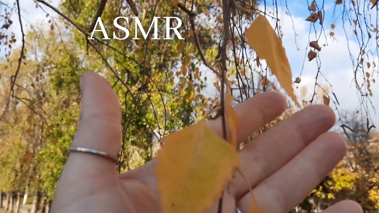 АСМР шуршание листьев для сна и релаксации | ASMR