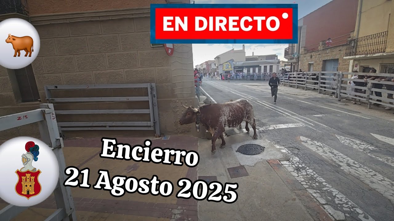 🐂🥳 ENCIERRO en DIRECTO #fiesta  en Mélida 🔹️#viral #toros #viralvideo  #directo  🔹️#navarra 