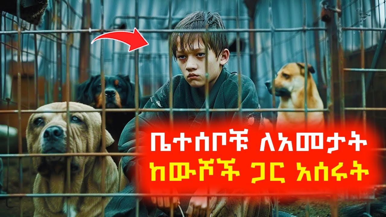 ቤተሰቦቹ ለአመታት ከውሾች ጋር አሰሩት ⚠️ Mert film | Sera film