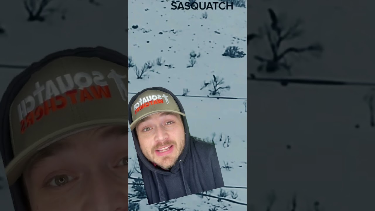 One Armed Bigfoot Seen on Camera Walking up Snowy Mountain!