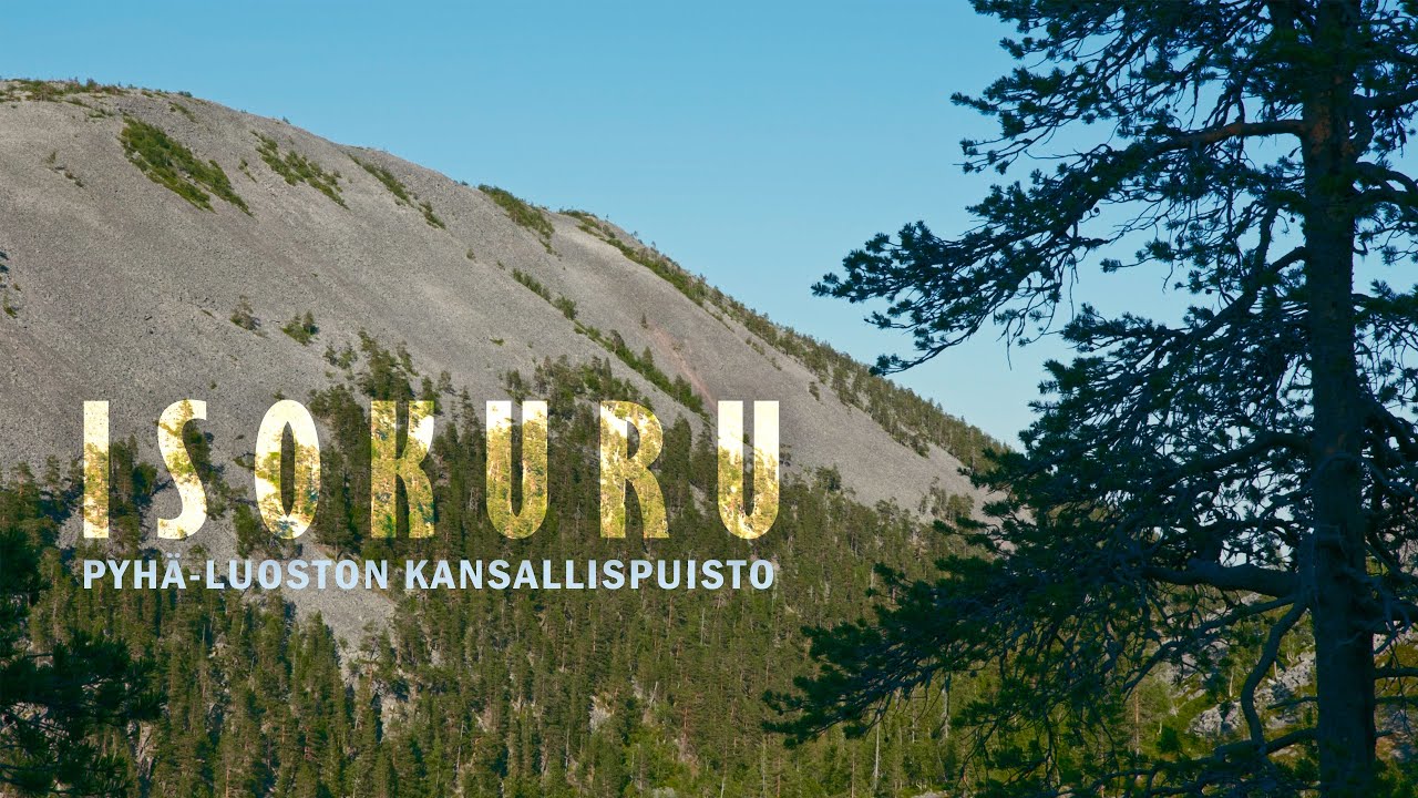 Pyhä-Luoston kansallispuisto - Isokuru