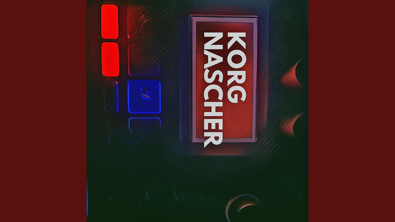 KORG NASCHER