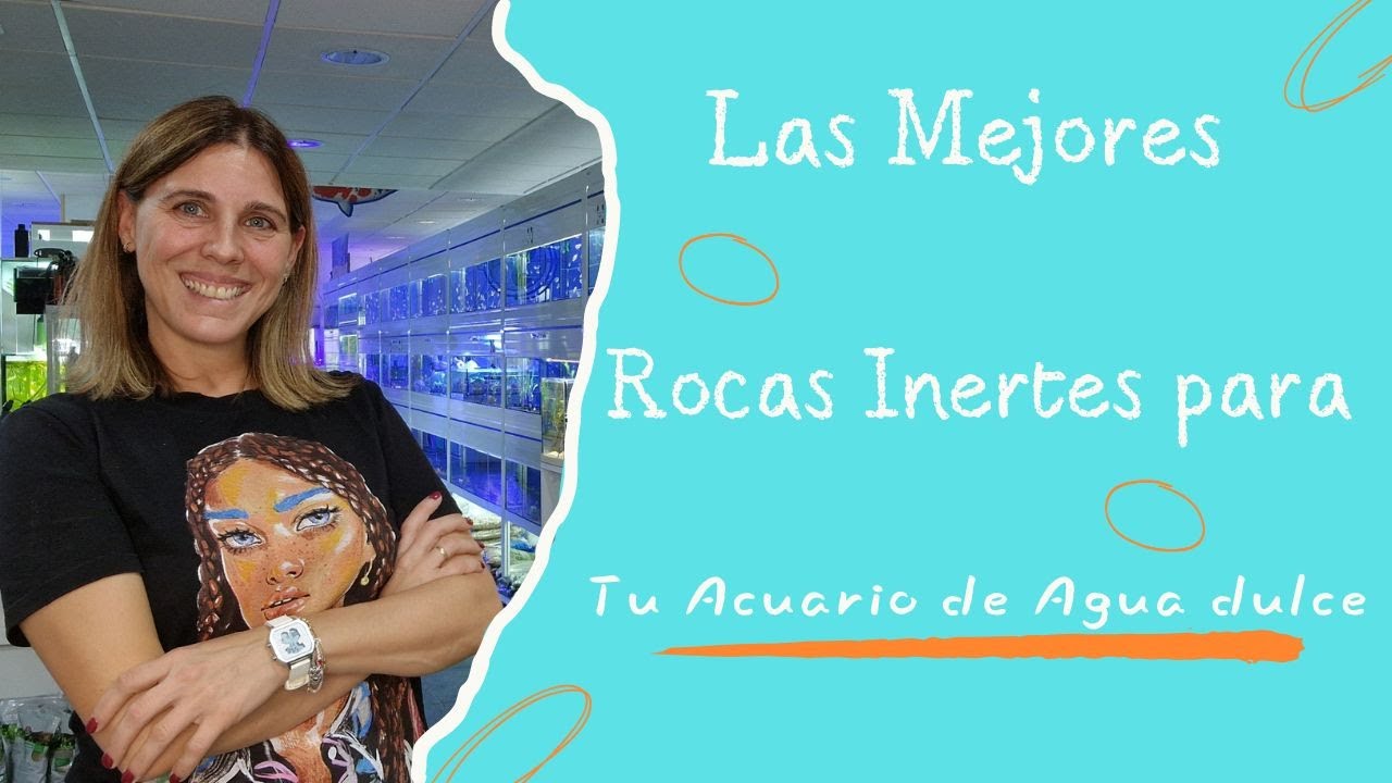 Las mejores rocas inertes para tu acuario de agua dulce