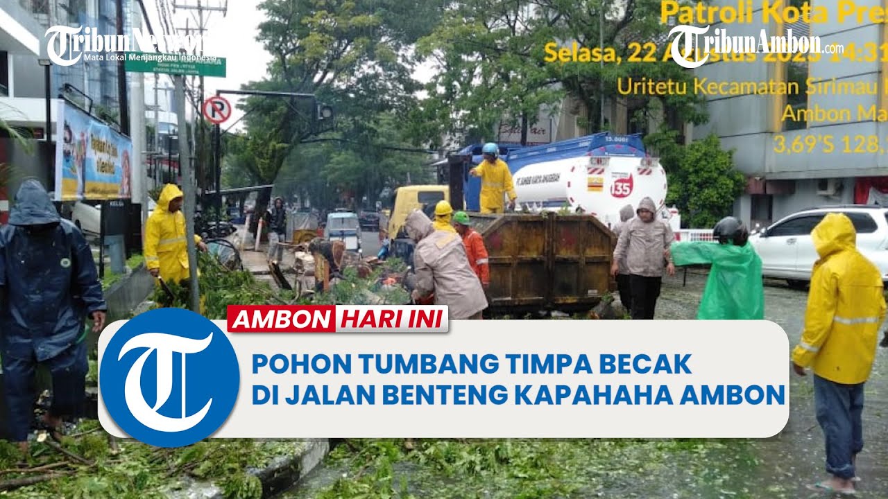 Hujan Deras, Pohon Tumbang Timpa Becak Di Jalan Benteng Kapahaha Ambon