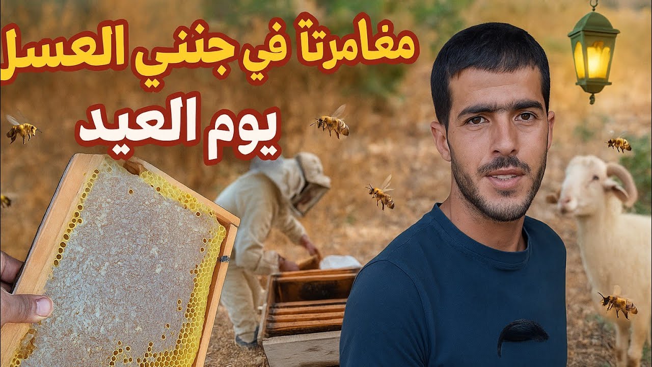 عيد الأضحى بطابع مختلف 🐑🍯 | مغامرة جني العسل من قلب الجبال😋