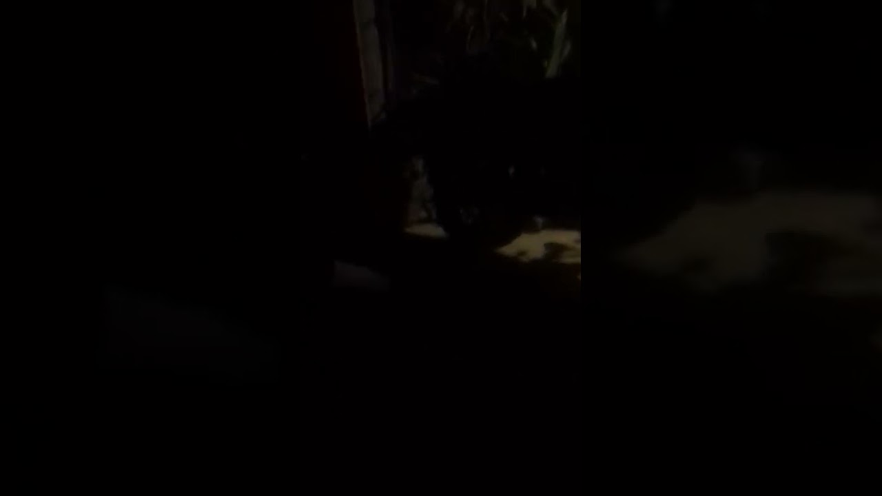 navez. no identificadas