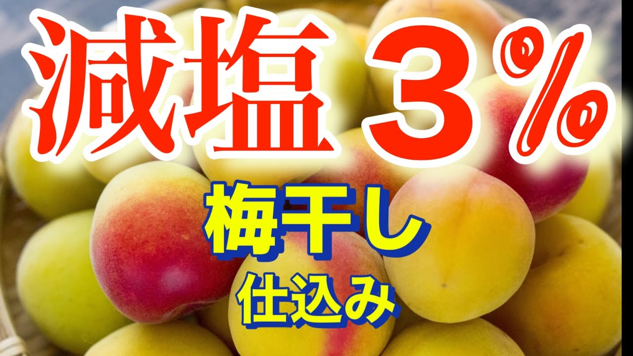 [梅干し]減塩３％５％８％冷凍梅と酢でカビない❣️仕込んで１５時間で梅酢上がります。