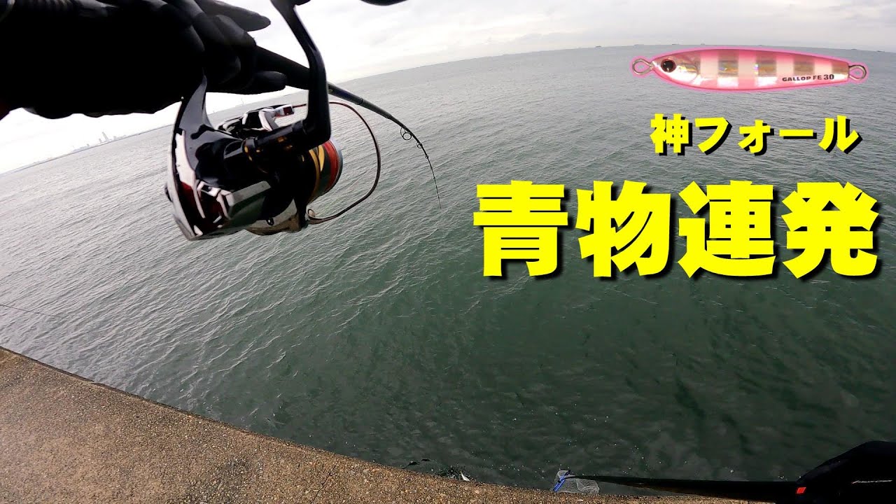 雨の武庫川一文字でライトショアジギング！神フォールで青物が連発した！
