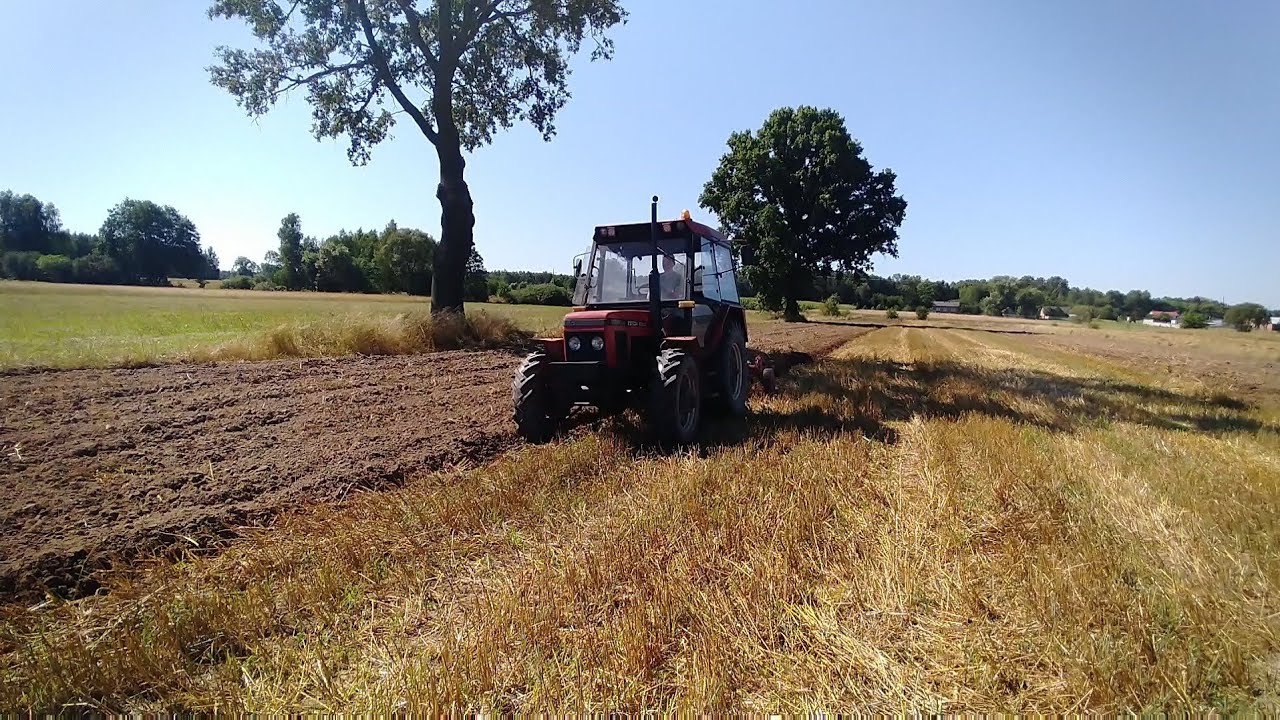 Podorywka z Zetorem ✔ ZETOR 6245 |Agro Młodzież|