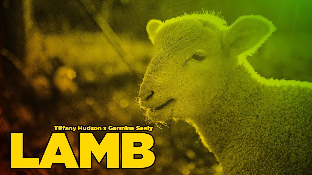 Tiffany Hudson x Elevation Worship - Lamb (Reggae Remix)