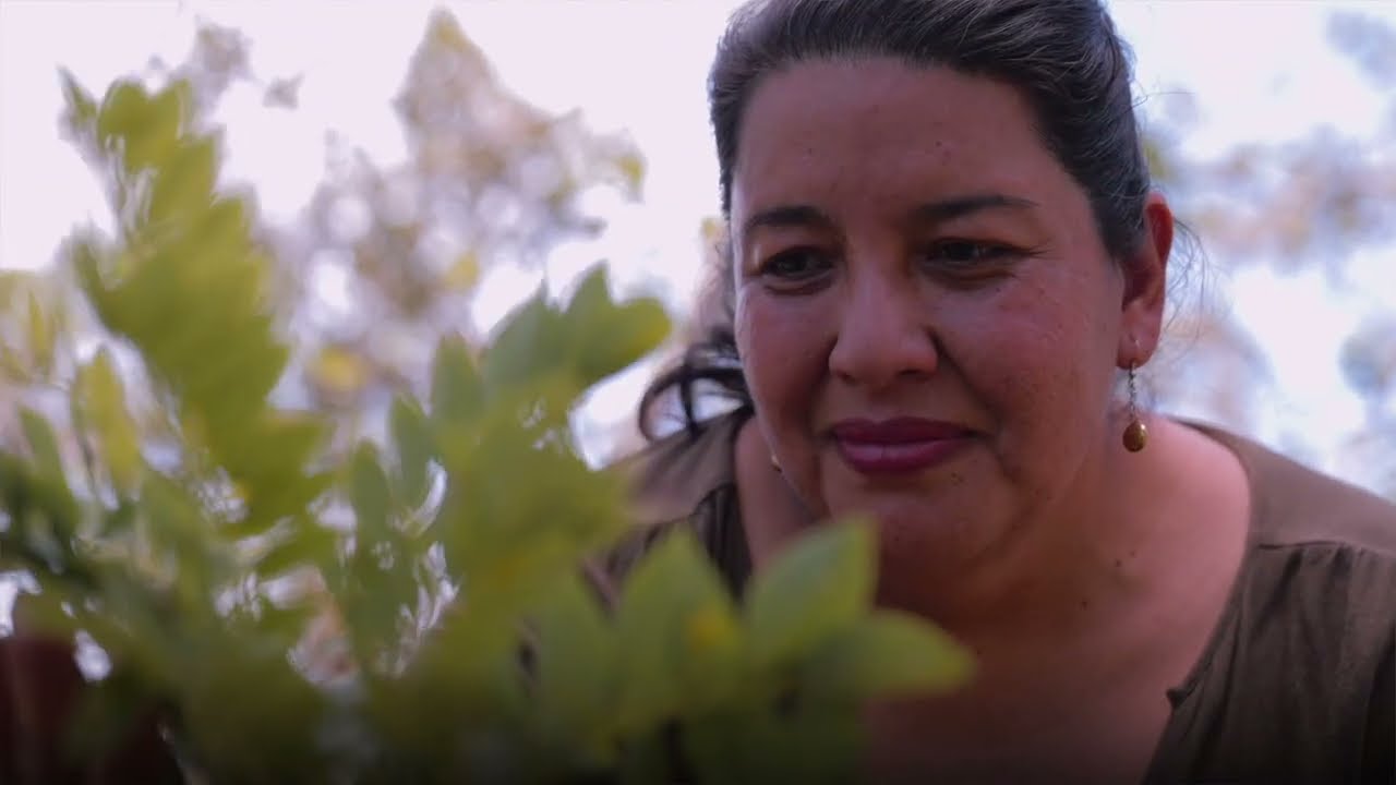 Seeds of hope: Community forest restoration in Colombia (WCS, Football for Forests & Trillion Trees)