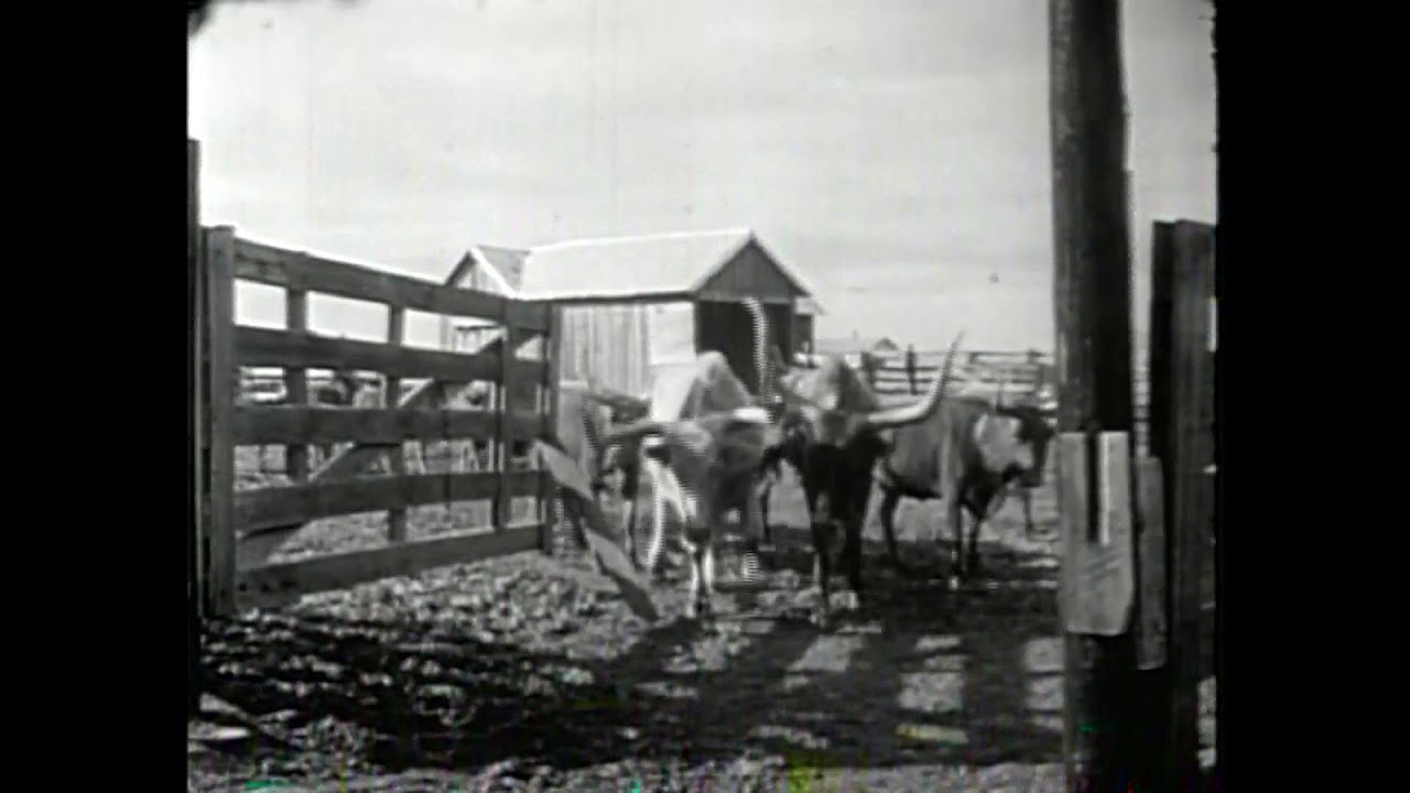 The history behind the Houston Livestock Show & Rodeo
