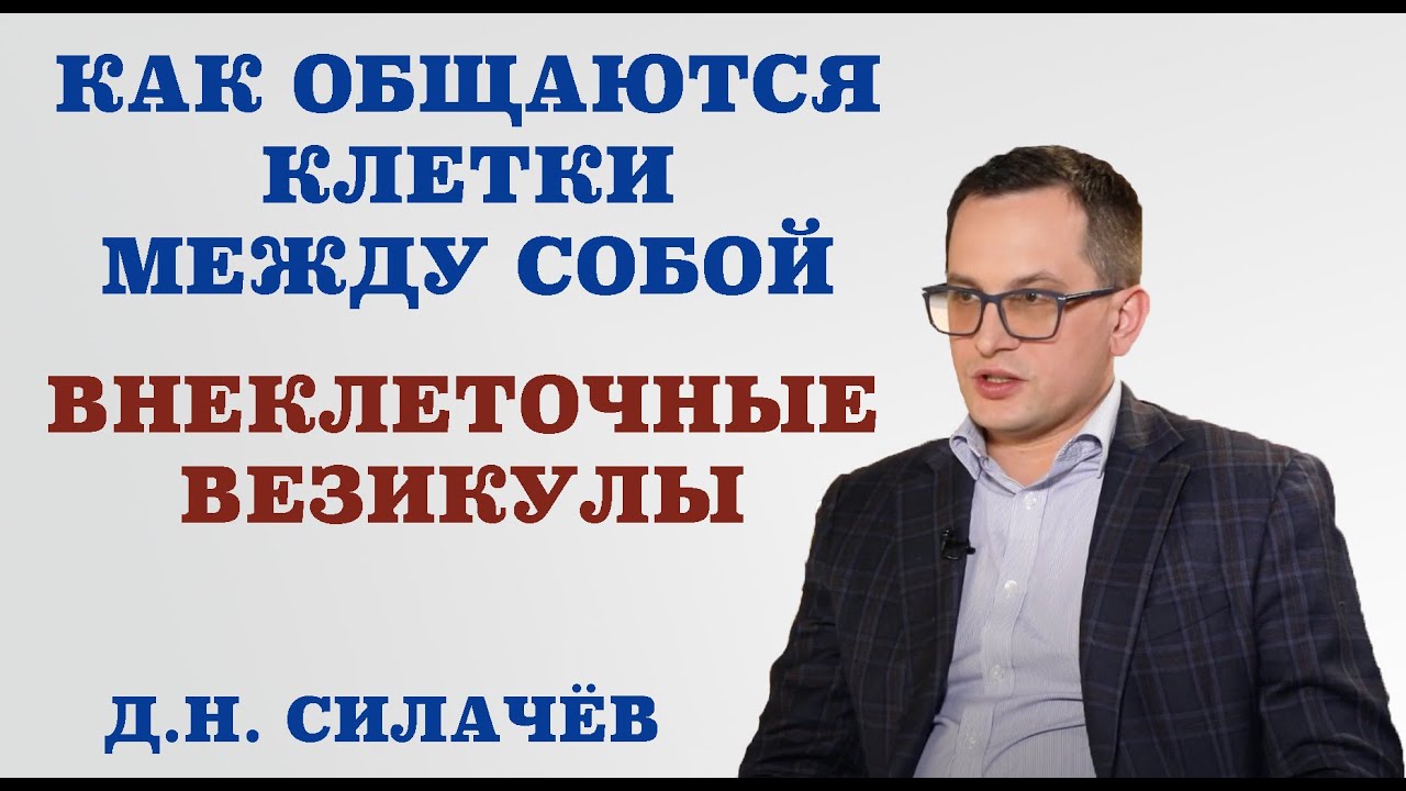 Как общаются клетки между собой. Внеклеточные везикулы