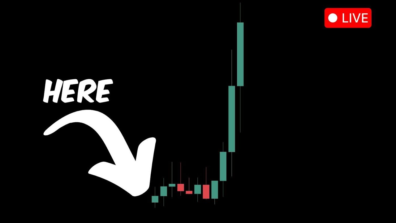 Incredible Bloom Bot Snipe Meme Coins the moment they launch!