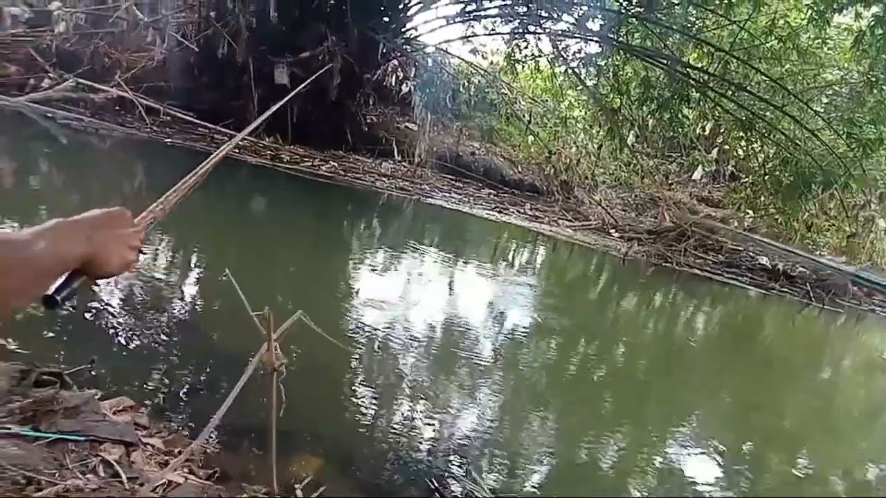 Mancing gayeng bersama mas Arip"anak istimewa"