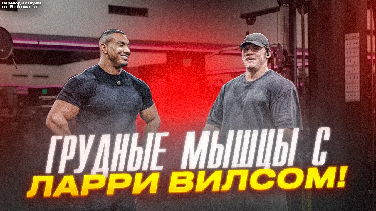 Качай грудь ТОЛЬКО ТАК. Тренировка ГРУДИ СЭМА СУЛЕКА с ЛАРРИ ВИЛСОМ.
