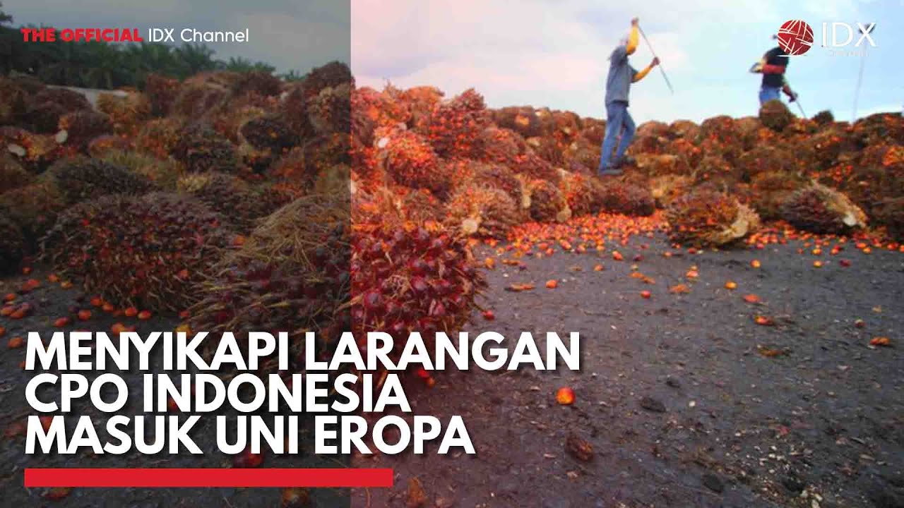 Menyikapi Larangan CPO Indonesia Masuk Uni Eropa | IDX CHANNEL