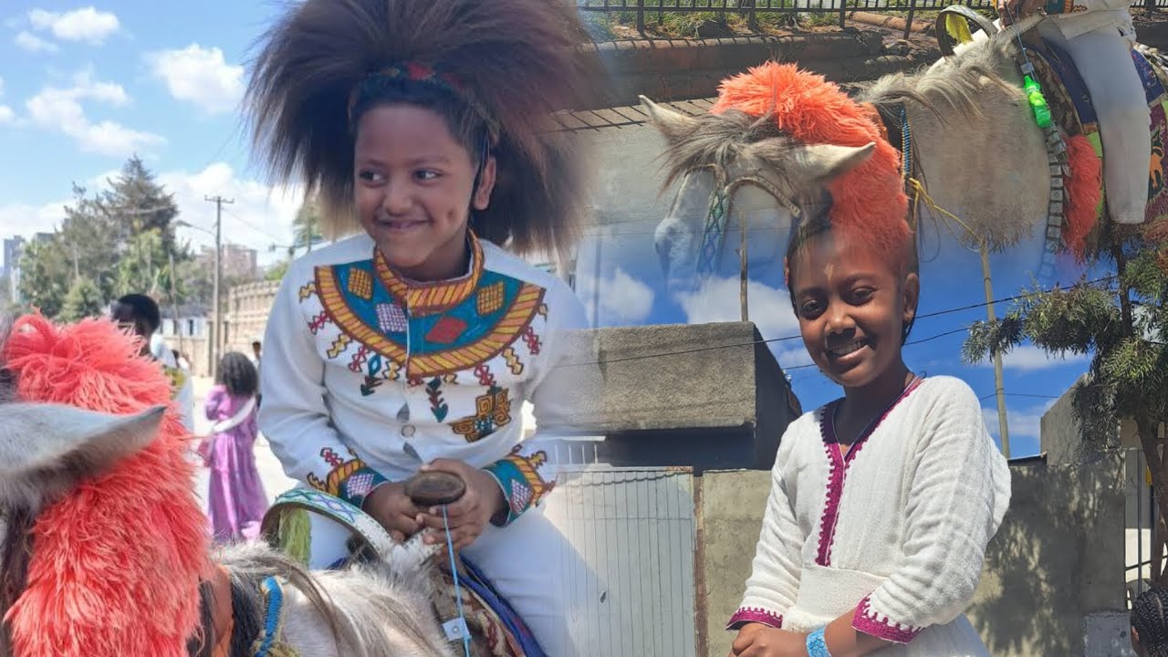 Horse riding at Janmeda