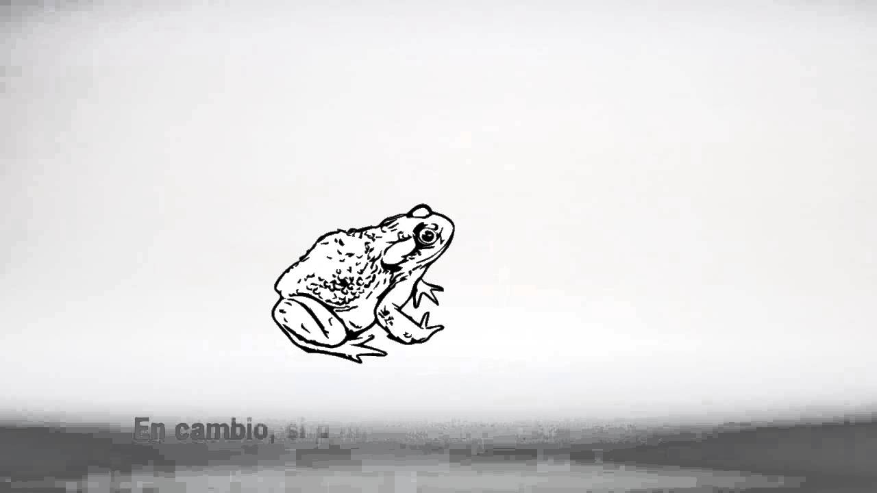 El Cuento de la Rana I DeOtraForma