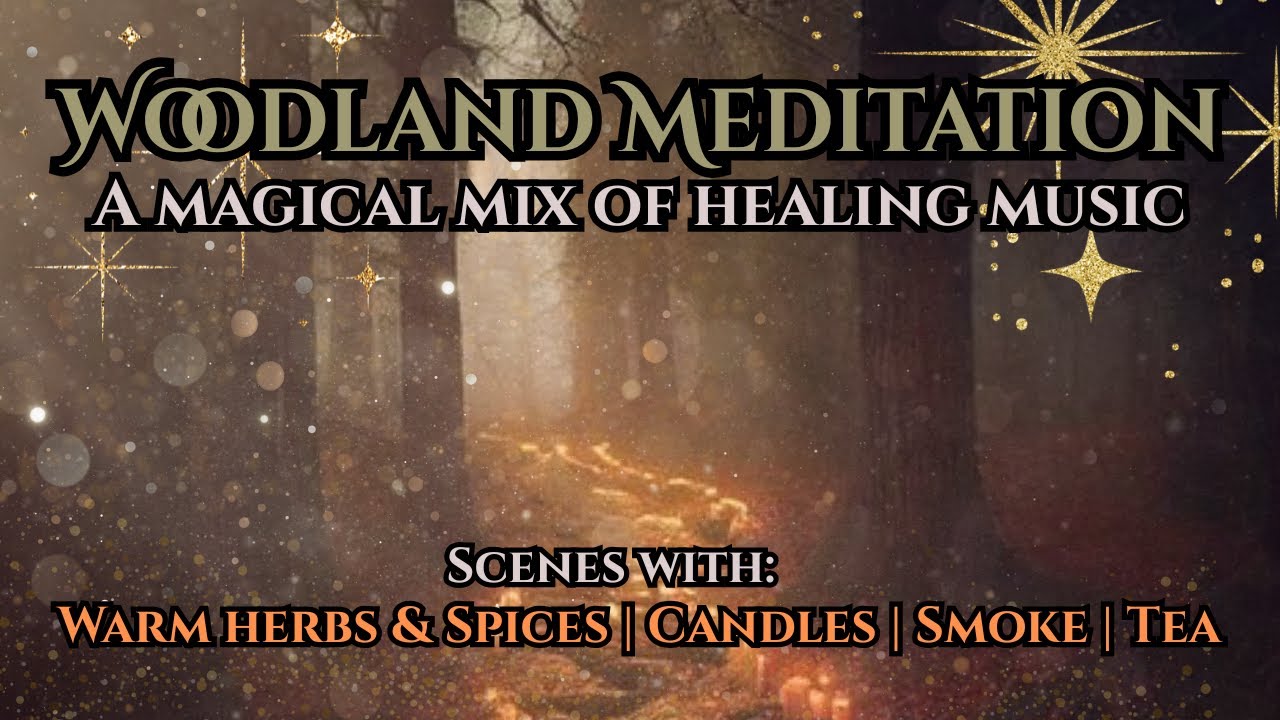 Woodland Meditation | Beta & Delta Waves for Deep Relaxation and Focus