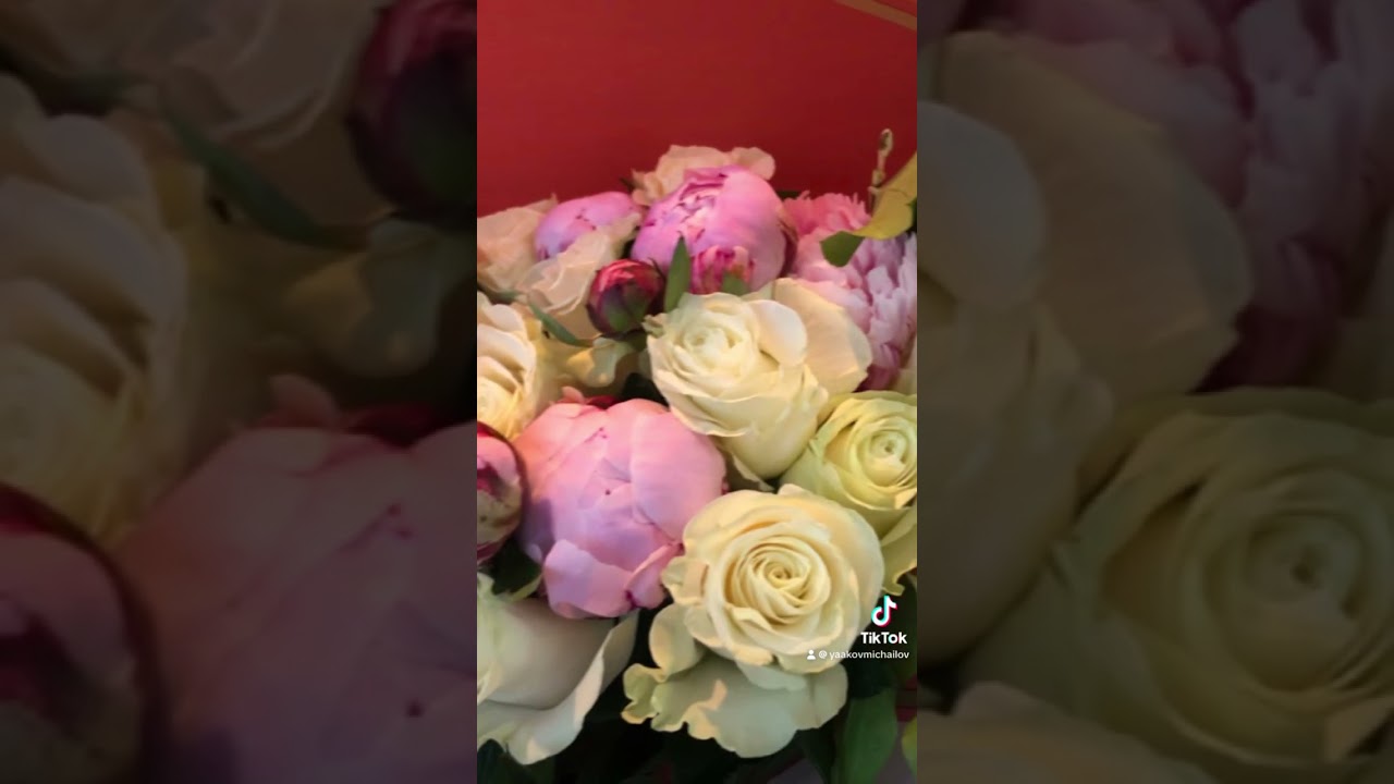 #flowers #retail #wholesale #bulk tel :6462089995