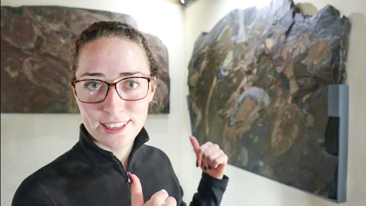 Worlds LARGEST Trilobites!! Arouca Geopark Musuem Tour 🦂