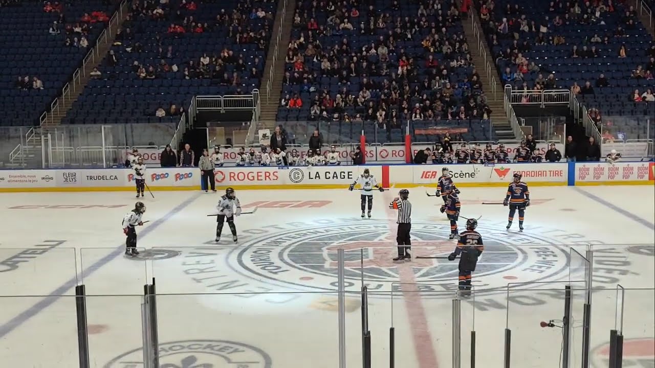Forrilon Predateurs vs Team Wolves Romania - PeeWee 2026