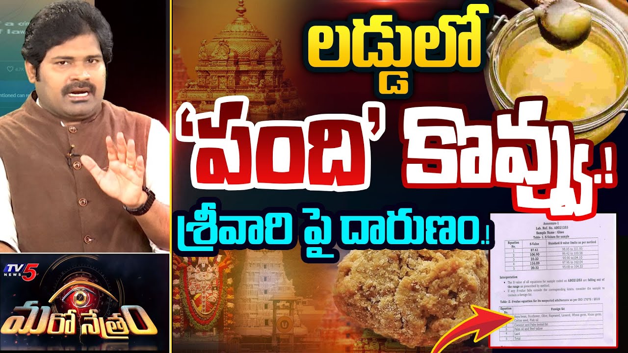 Maro Netram : 'కొవ్వు' కలిపేశారు! | Tirupathi Laddu Ghee Issue | Shiva Explained | TTD | TV5 News