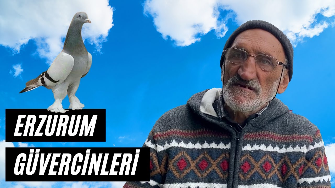 ''Elde Bir Kuşun Nasıl Oynayacağını Kimse Anlayamaz'' Taklacı Güvercin Sohbeti Okay Özcan