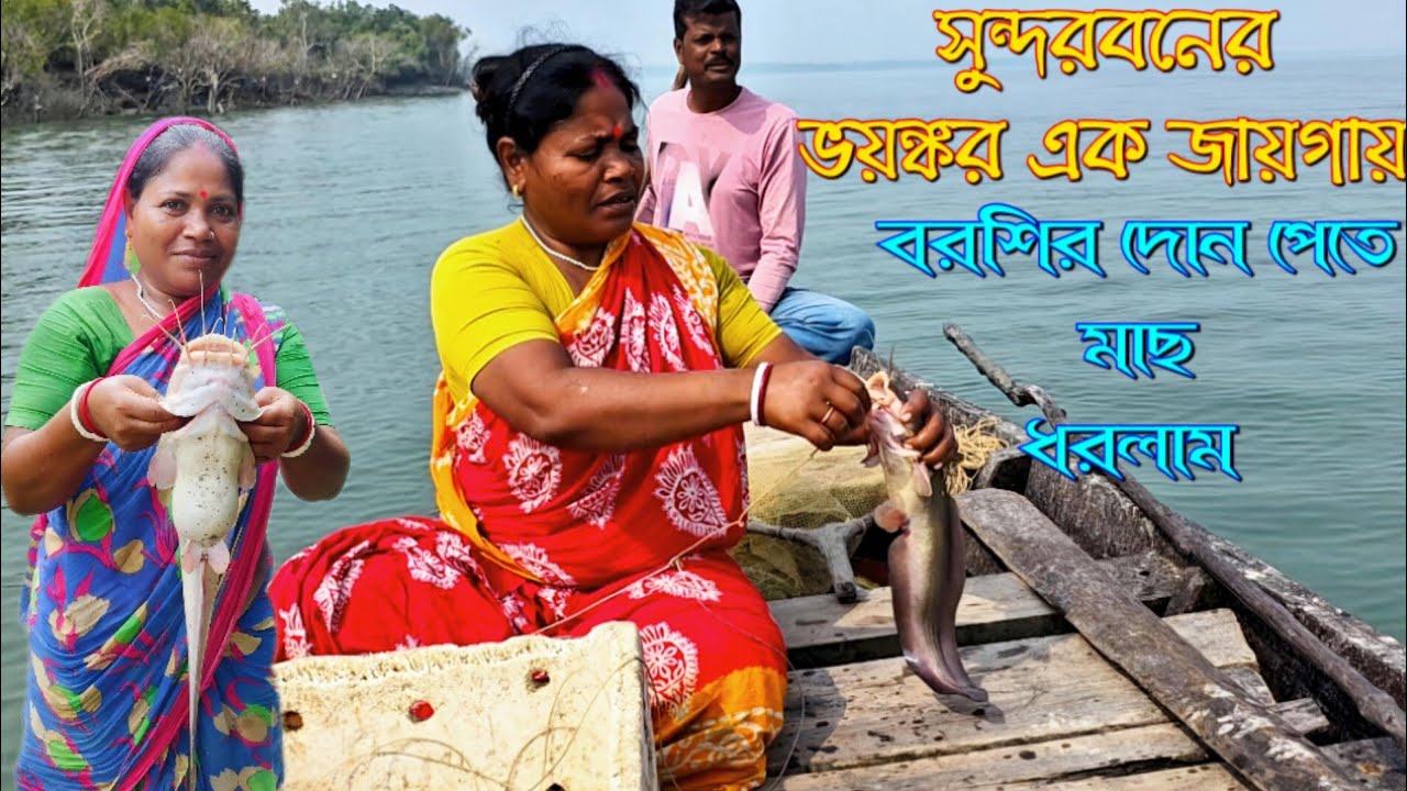 মরিচঝাঁপি জঙ্গলের সাইটে খেবলা জাল বেয়ে, চিংড়ি মাছ ধরলাম এবং নতুন একটি জায়গায় বরশির দোন ফেললাম।