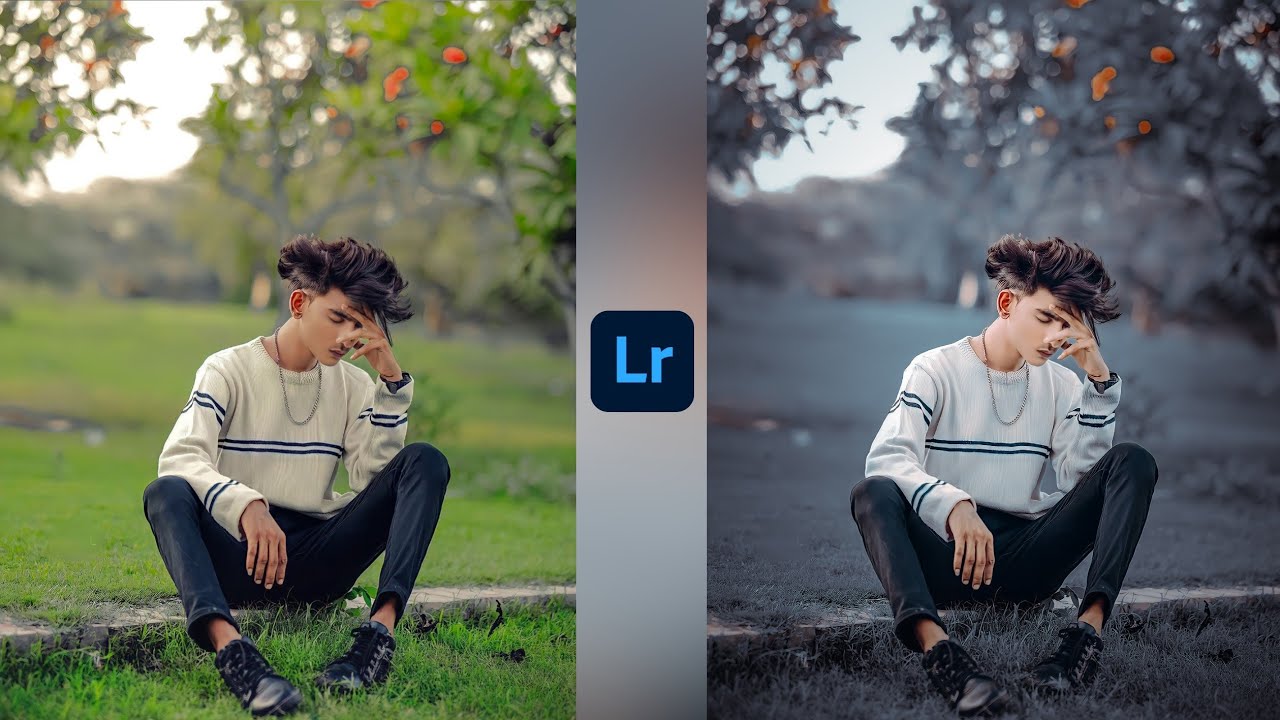 Lightroom mobile dark and silver tone photo editing | Preset download free