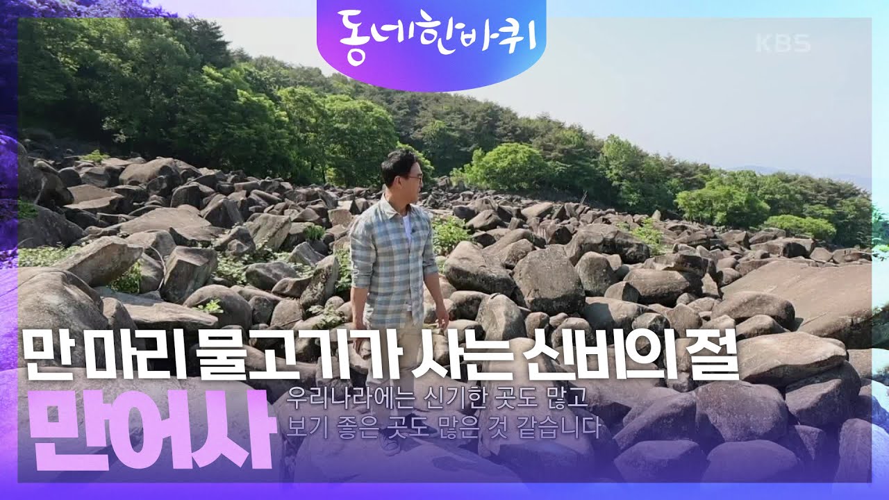 만 마리 물고기가 사는 신비의 절, 만어사 [동네 한 바퀴] | KBS 230603 방송