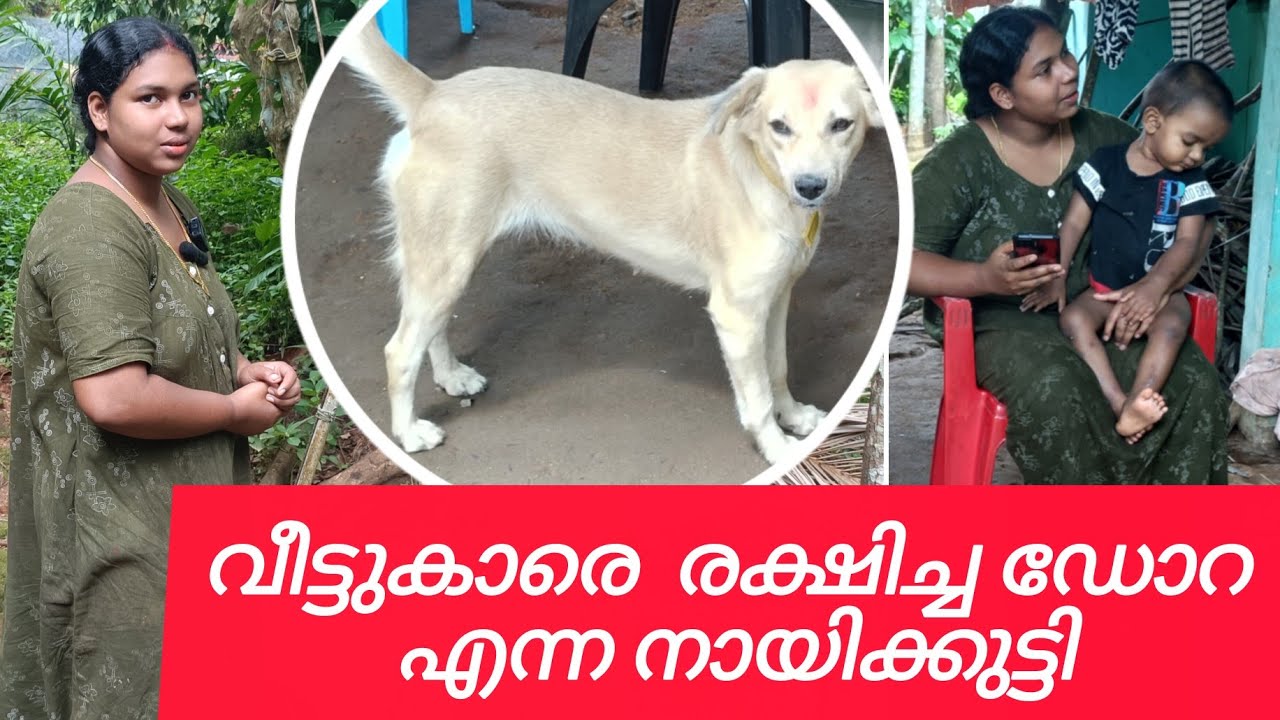 ഇവളാണ് എന്നെ രക്ഷിച്ചത്
