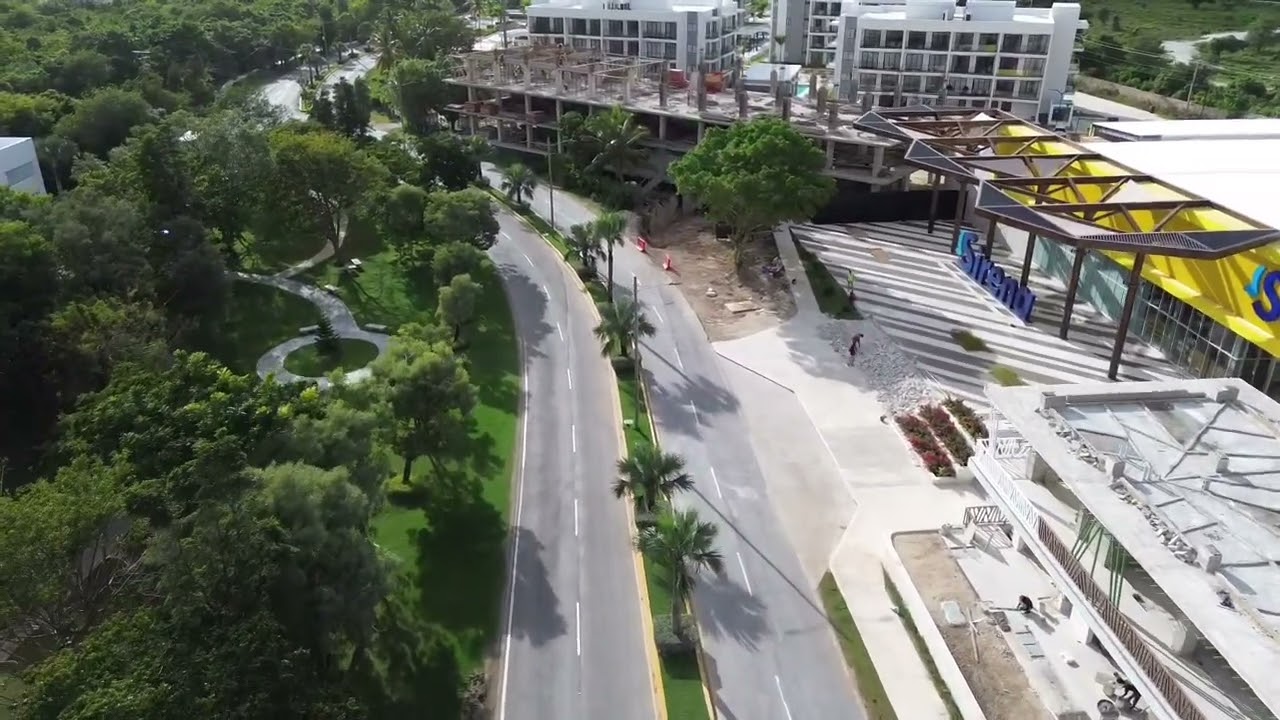 Vista cana