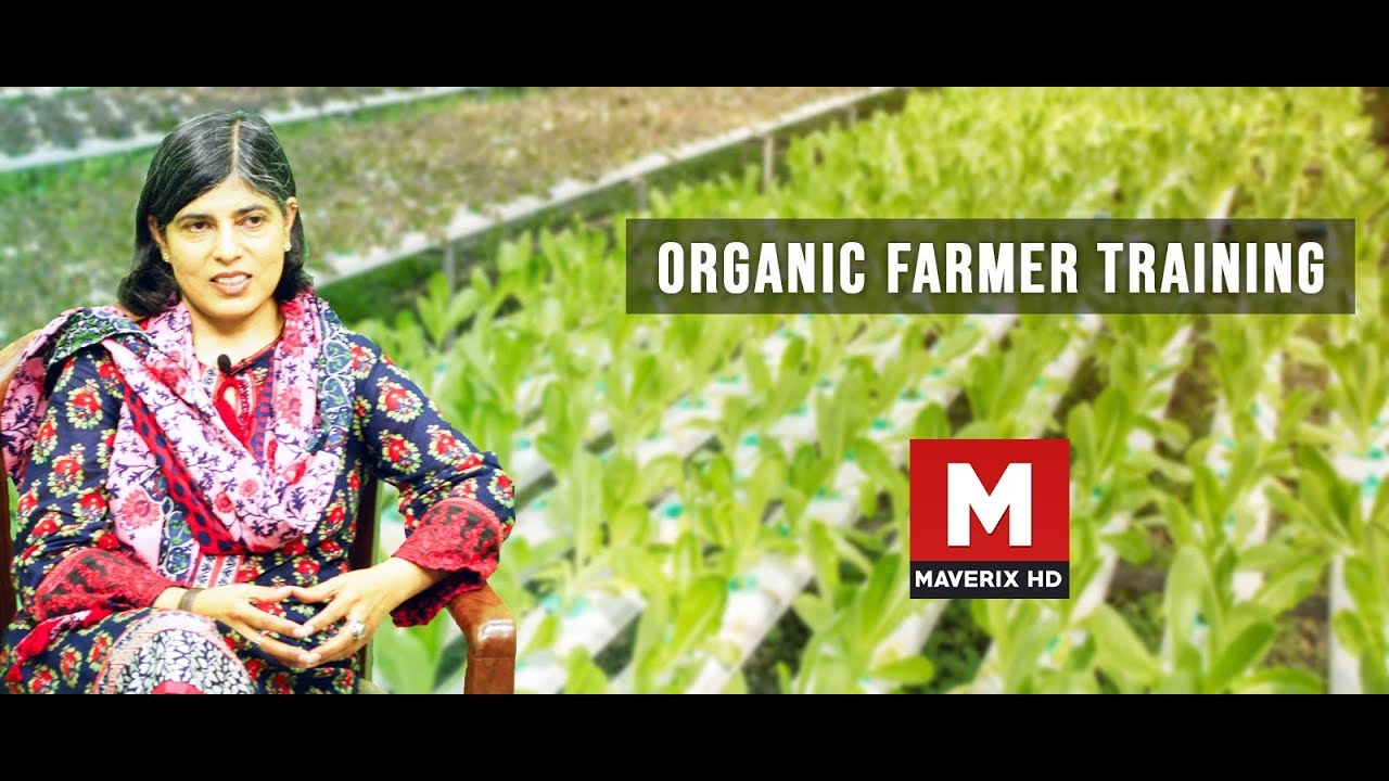 How to do organic Farming in Pakistan | Pinhan Sitaray 21