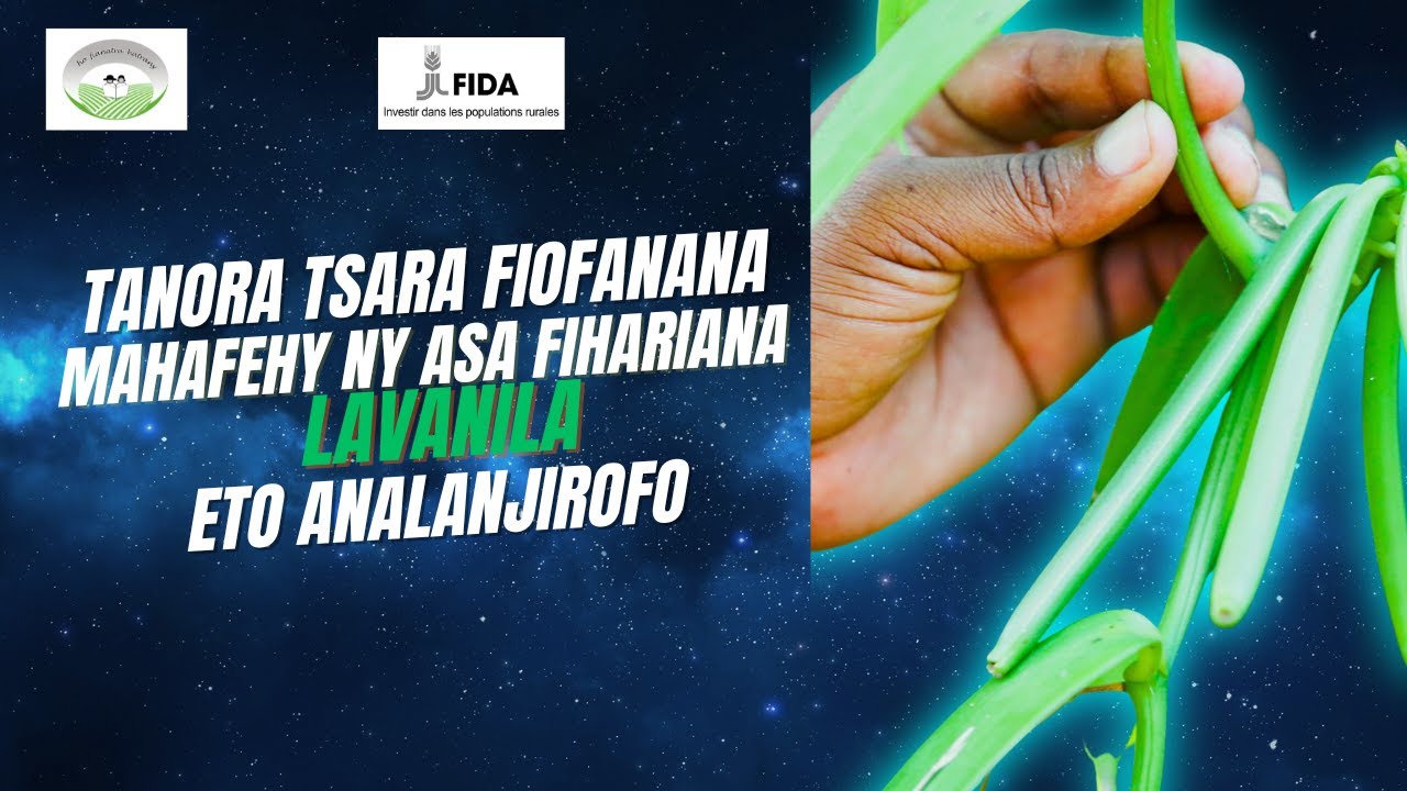 TANORA TSARA FIOFANANA MAHAFEHY NY ASA FIHARIANA LAVANILA ETO ANALANJIROFO- FORMAPROD 2023