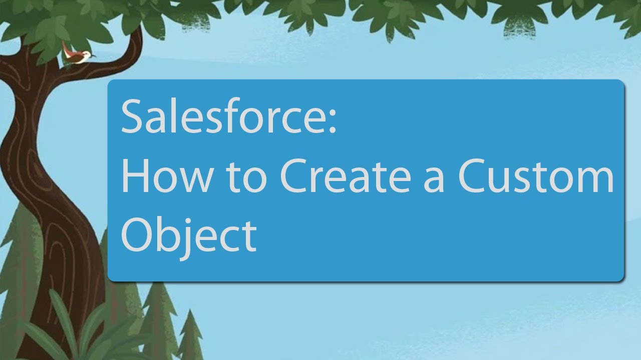 Salesforce: How to Create a Custom Object