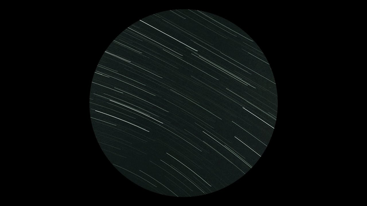 Lizz - Flydeks