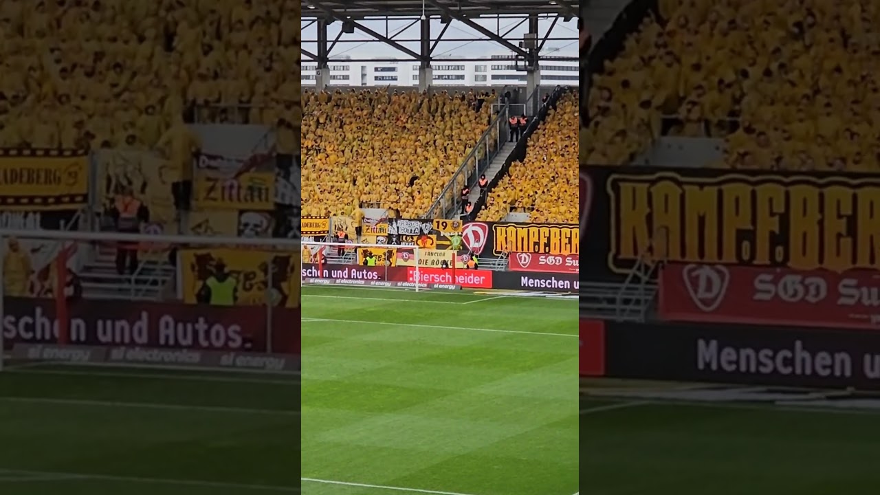 Dynamo fans in all yellow at Ingolstadt 💪