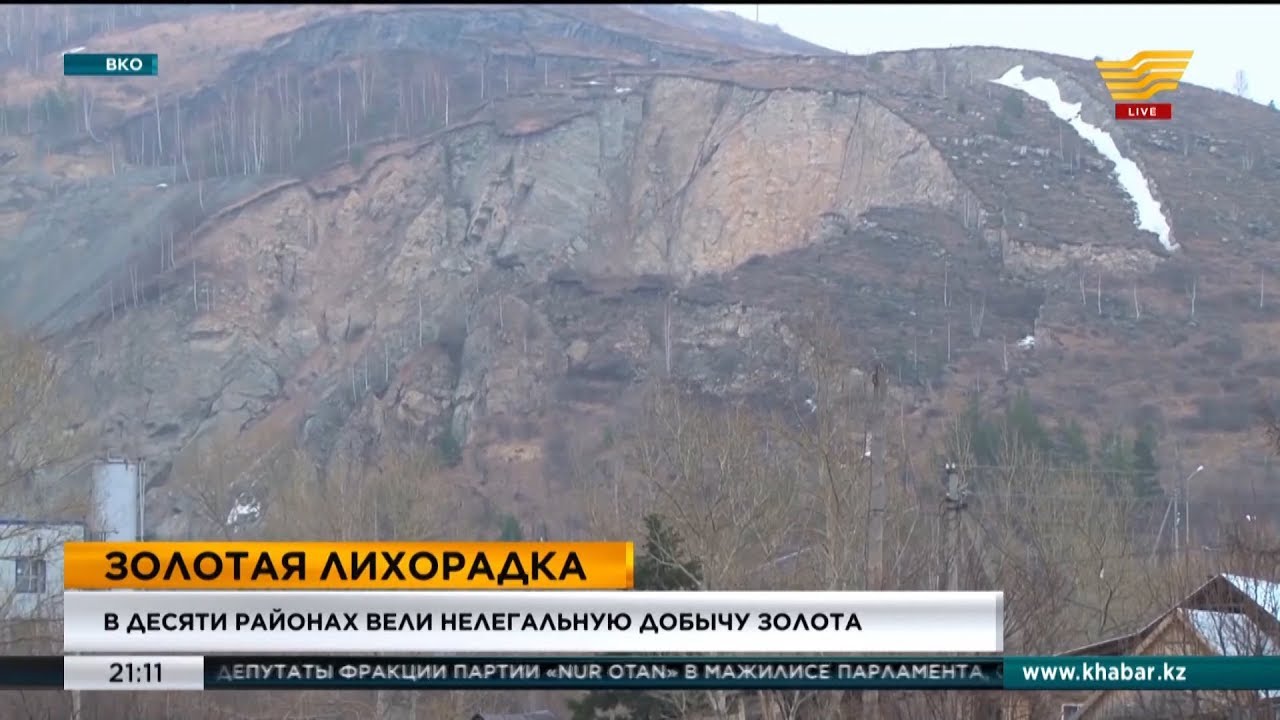 В десяти районах ВКО вели нелегальную добычу золота