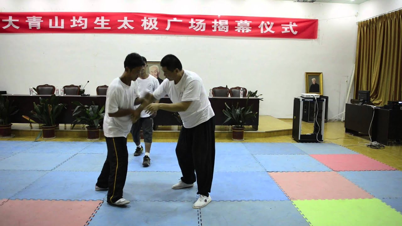 Chen Xu August 10, 2013 Daqingshan Challenge