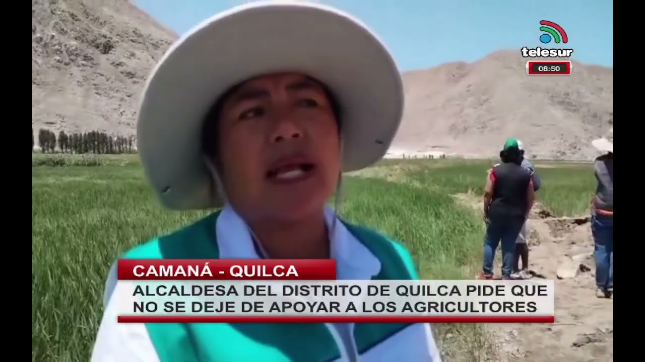ALCALDESA DEL DISTRITO DE QUILCA PIDE QUE NO SE DEJE DE APOYAR A LOS AGRICULTORES - #camana