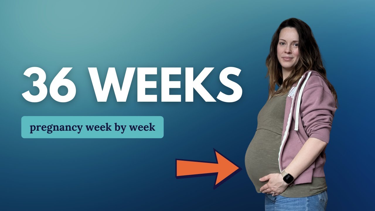 36 Weeks Pregnant 🤰 What to Expect: Changes for You & Baby Movement and Development