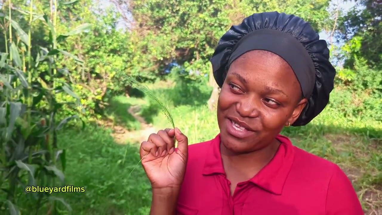 Amataba yaletelela Ba Zulu and Longwani