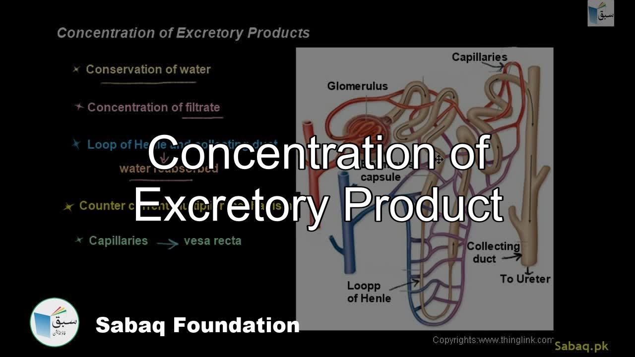 Concentration of Excretory Product, Biology Lecture | Sabaq.pk