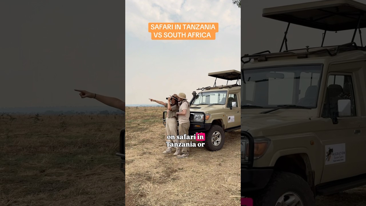 Difference Between Safari in Tanzania and South Africa #africansafari #tanzania #southafrica #safari