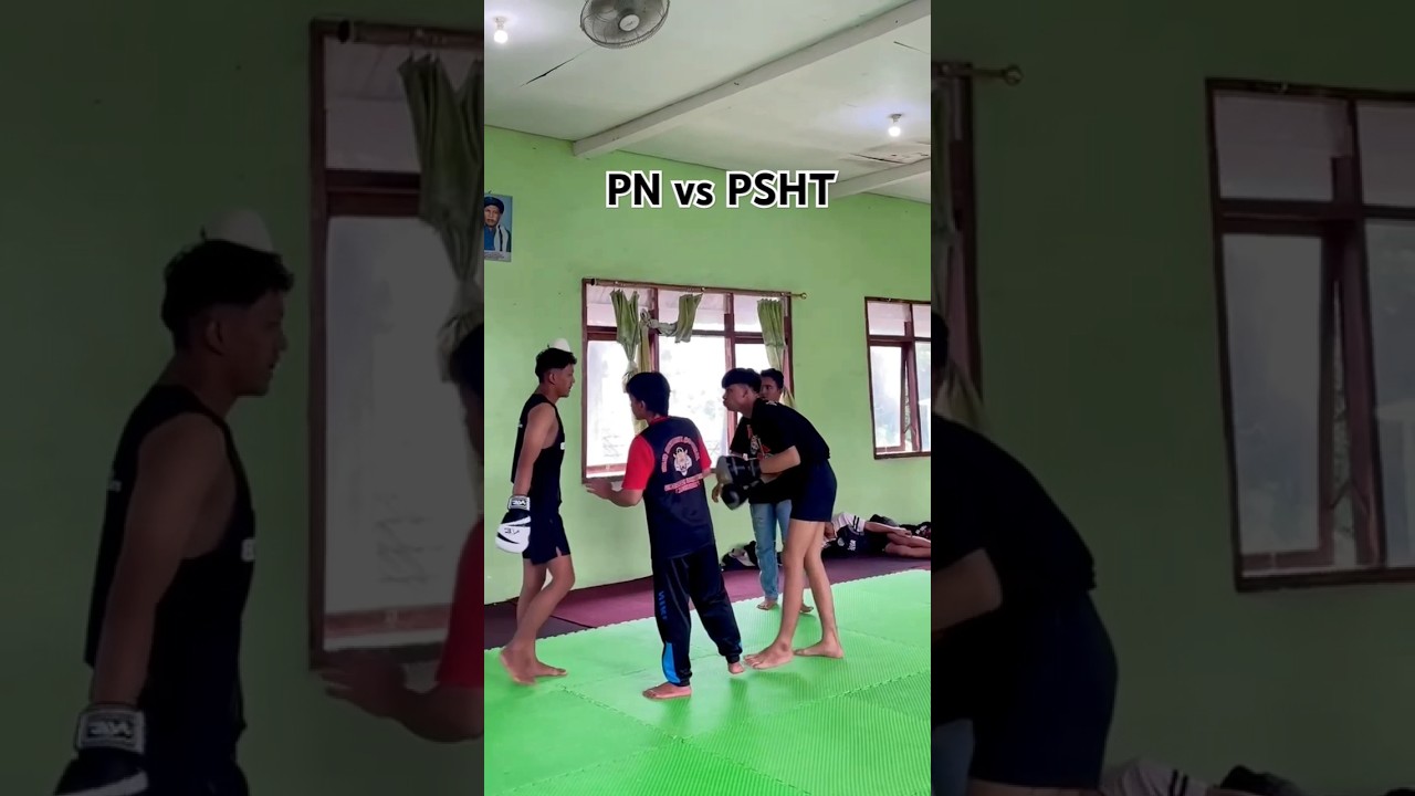 Pagar Nusa vs PSHT sambung persaudaraan 🤝🙂🥰 #shortsfeed #boxing #shortsvideo #viralvideo #