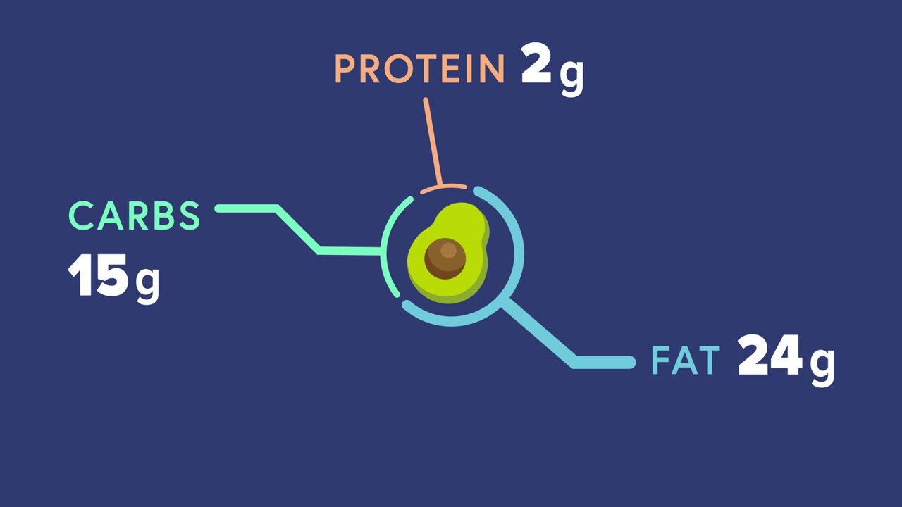 Metabolism 101: What are macronutrients?
